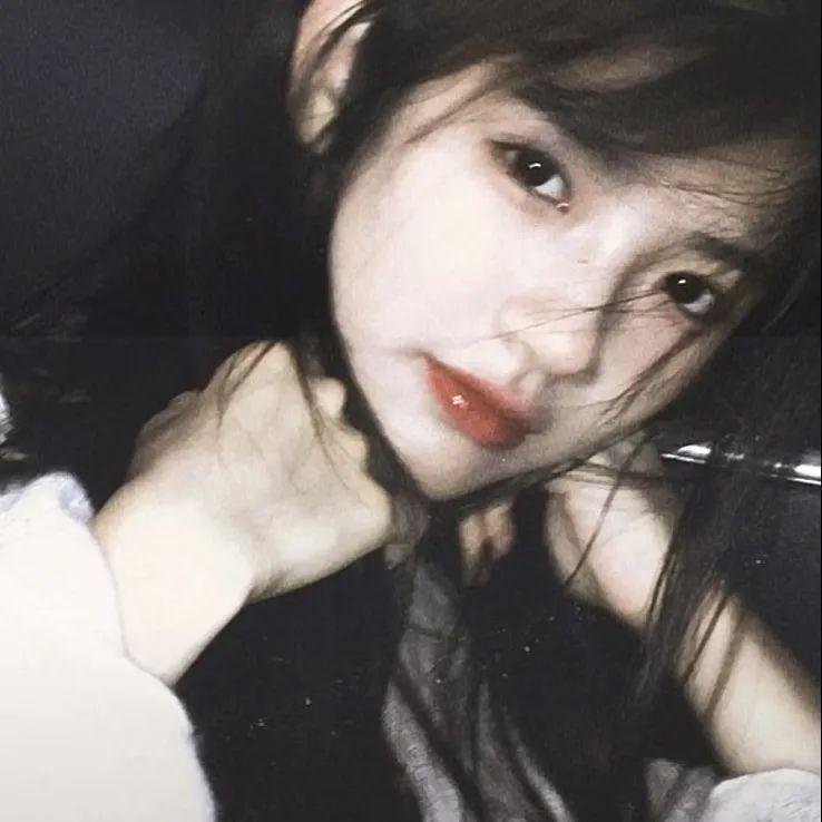 汽车女窃贼